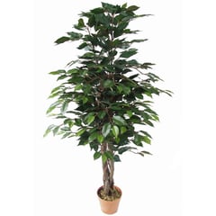 JUST HOME COLLECTION - Planta artificial Ficus Verde 55x126cm