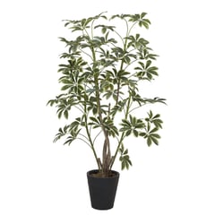 JUST HOME COLLECTION - Planta artificial Schefflera Verde 69x172cm