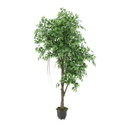 JUST HOME COLLECTION - Planta Artificial Mini Ficus Verde 190cm