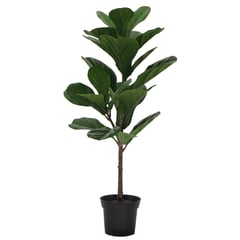 JUST HOME COLLECTION - Planta Artificial Ficus Lirata 83