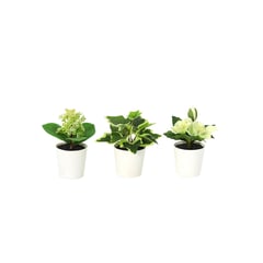 JUST HOME COLLECTION - Set de 3 Plantas Artificiales 13cm