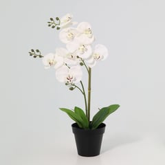 JUST HOME COLLECTION - Planta Artificial Orquidea Blanca 48cm